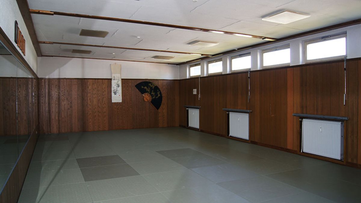 ESV Dojo klein